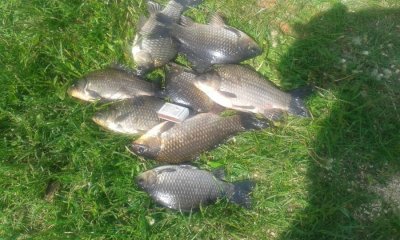 20160502_141356.jpg