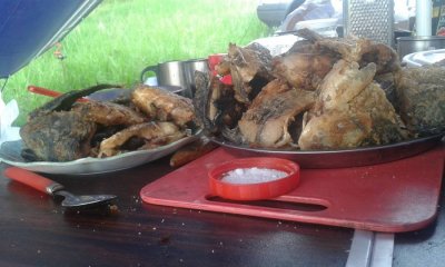 20160502_180009.jpg