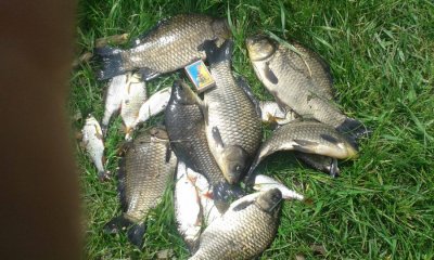 20160503_134519.jpg