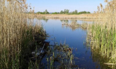 20160502_084548.jpg