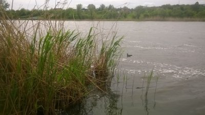 WP_20160504_003.jpg