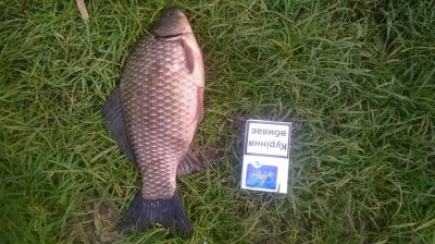 WP_20160504_006.jpg