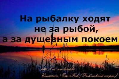 Золоті слова .jpg