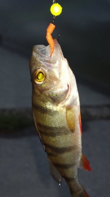2016-05-06-2843.jpg