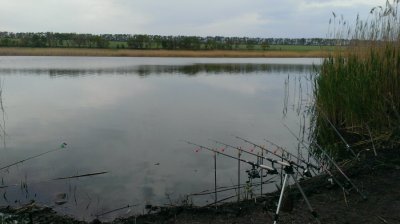 IMAG0592.jpg