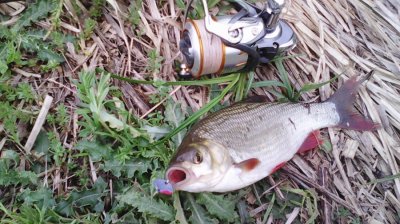 IMG_20160507_124403.jpg