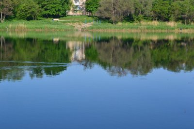 DSC_0254[1].JPG