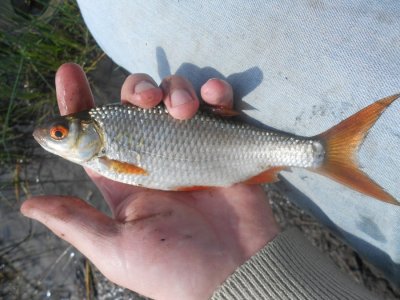 DSCN2816.JPG