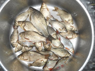 DSCN2818.JPG