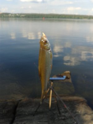 20160509_170712.jpg