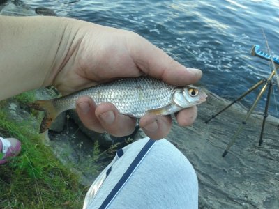 20160509_180332.jpg