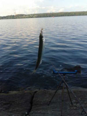 20160509_181708.jpg