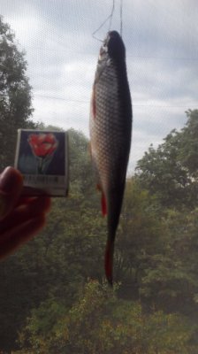 20160510083624.jpg