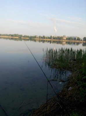 P60509-063412.jpg
