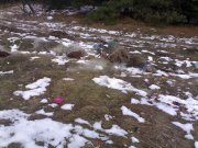 28022009651.jpg