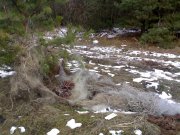 28022009652.jpg