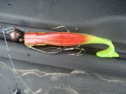 DSC03424-web.jpg