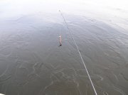 DSCN3919.JPG