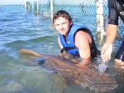 SHARK 026.jpg