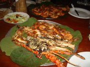 DSC03287.jpg