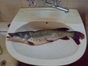 21032009560.jpg