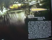Megabass 4.jpg