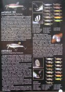 Megabass 11.jpg