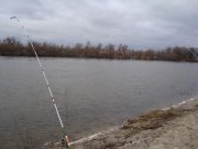 DSC01716.jpg