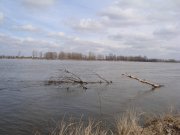 DSC01721.jpg