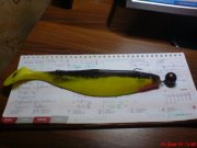 DSC04072.JPG