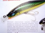 PIC_0725_1.jpg