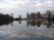 DSCN4229.JPG