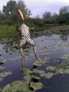 27092008571_измен.размер.jpg