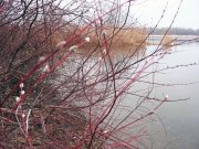 IMG_8309.jpg