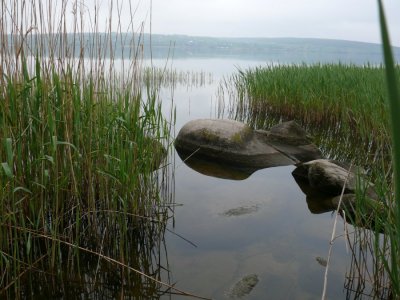 P1120224.JPG