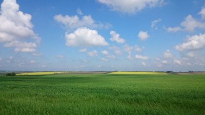 DSC_1026.JPG