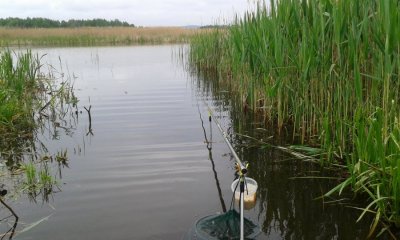 20160515_110756.jpg