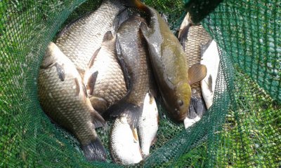 20160515_143225.jpg