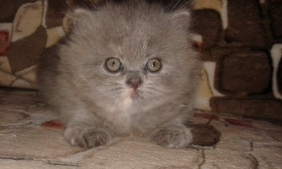 20160513_163128.jpg