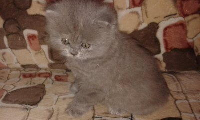 20160513_163157.jpg