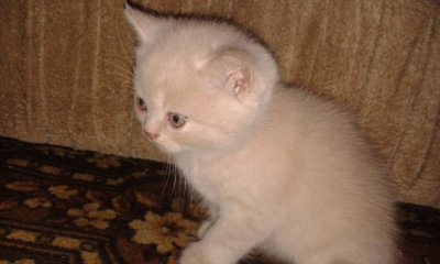 20160513_171928.jpg