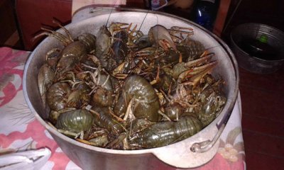 20140806_170642.jpg