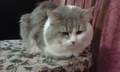 20160518_081639.jpg
