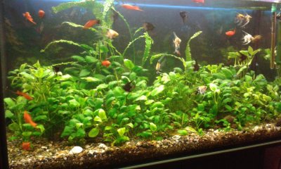 20160518_075449.jpg