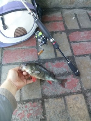 CAM03470.jpg