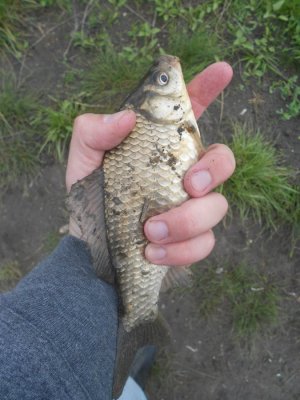 DSCN2825.JPG