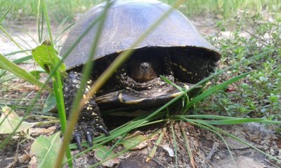 20160521_105534.jpg