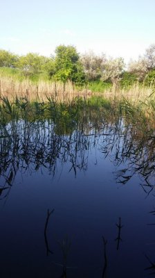 20160522_072502.jpg