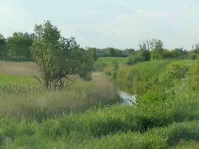 P1120442.JPG