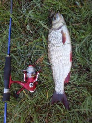 20160523_055147[1].jpg